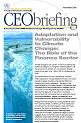 Adaptation and Vulnerability to Climate Change: The Role of the Finance Sector