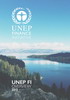 UNEP FI Overview 2015