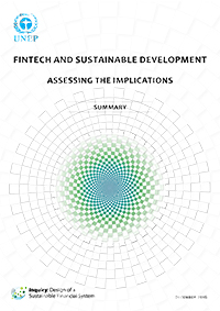 Fintech and Sustainable Development: Assessing the Implications