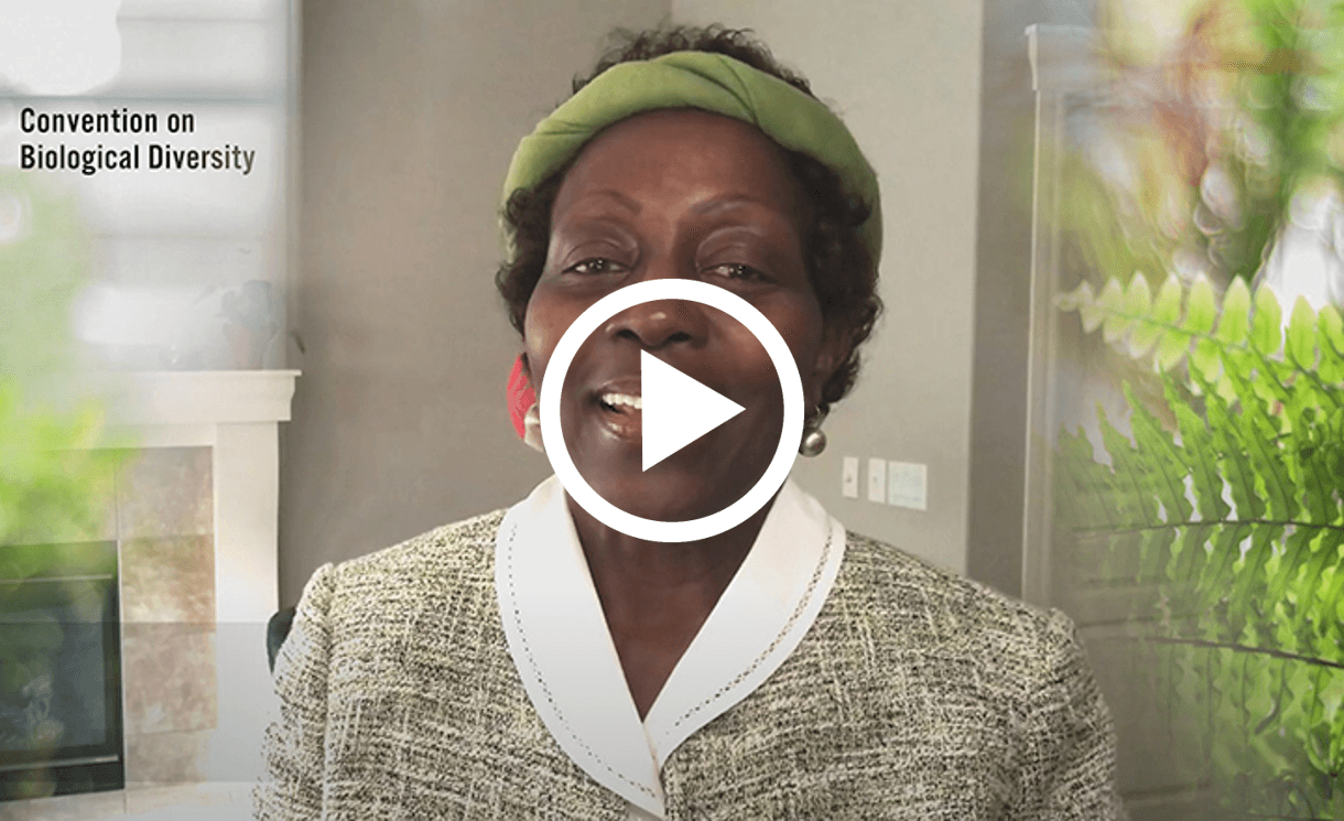 Image is not available