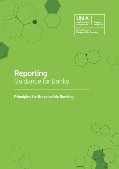 Guidance on Reporting and Providing Limited Assurance