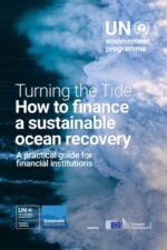 Turning the Tide: How to Finance a Sustainable Ocean Recovery
