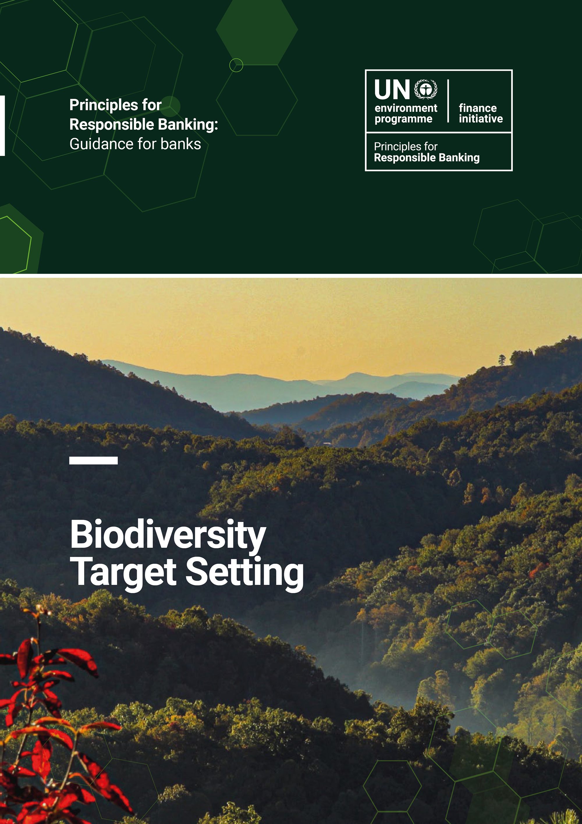Guidance on Biodiversity Target-setting