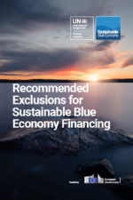 Recommended Exclusions for Financing a Sustainable Blue Economy