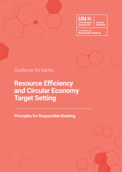 Guidance on Resource Efficiency and Circular Economy Target Setting