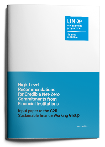 Recommendations for Credible Net-Zero Commitments from Financial Institutions
