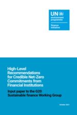 Recommendations for Credible Net-Zero Commitments from Financial Institutions