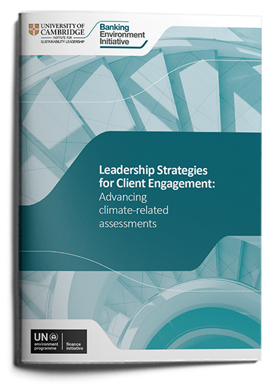 Leadership strategies for client engagement: Advancing climate-related assessments