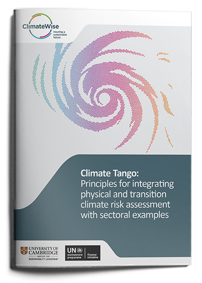 Climate Tango: Principles for integrating physical and transition climate risk assessment with sectoral examples