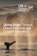 Diving Deep: Finance, Ocean Pollution and Coastal Resilience