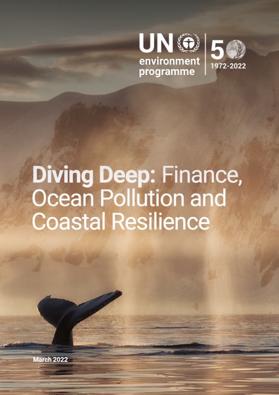Diving Deep: Finance, Ocean Pollution and Coastal Resilience