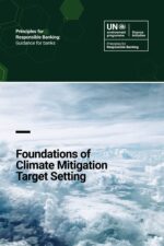 Foundations of Climate Mitigation Target Setting