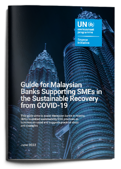 Guide for Malaysian Banks Supporting SMEs in the Sustainable Recovery from COVID-19