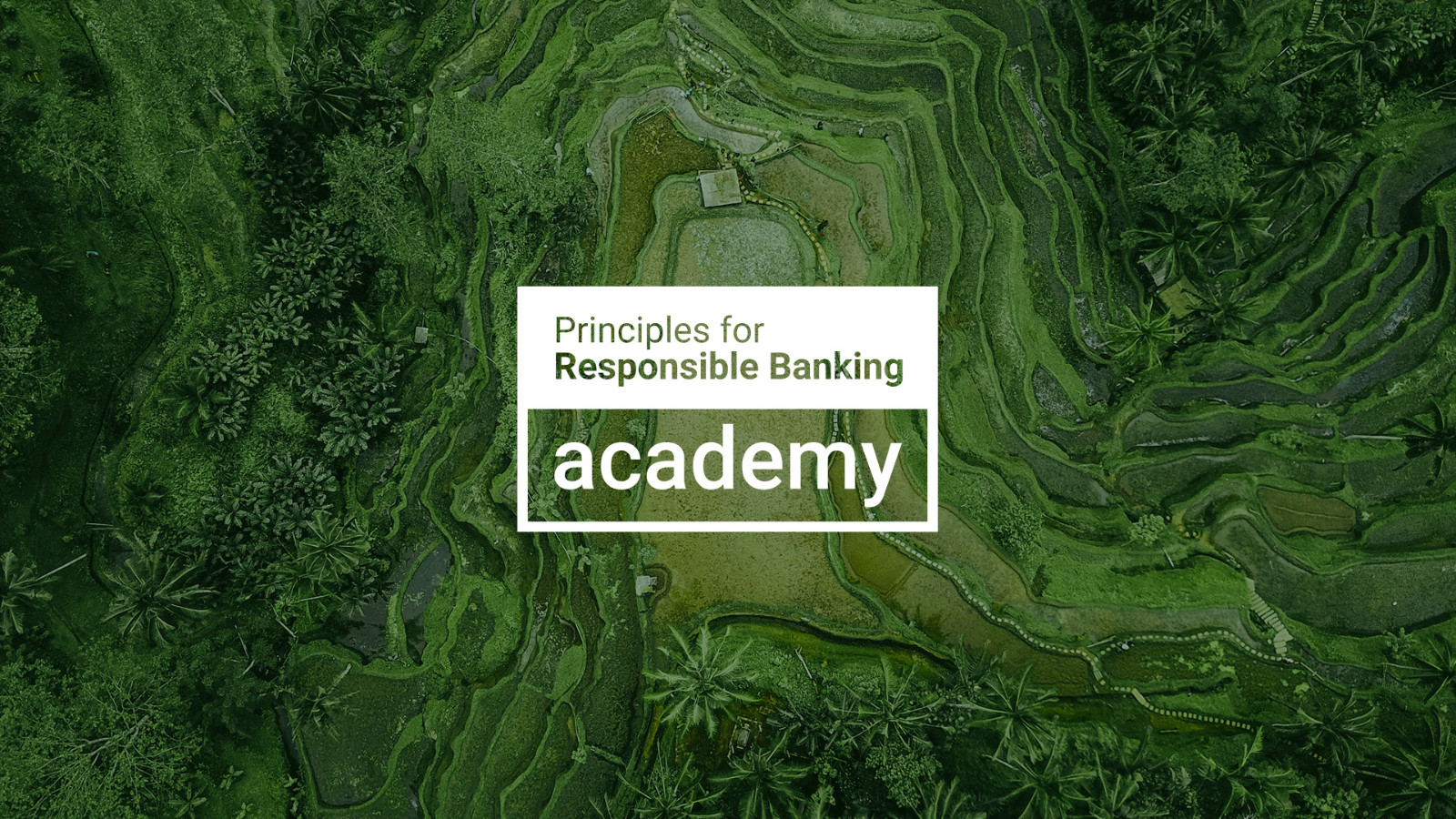 New Principles for Responsible Banking Academy to mainstream sustainability training