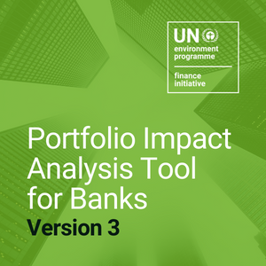 Portfolio Impact Analysis Tools for Banks (Version 3)