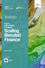 Net-Zero Asset Owner Alliance calls on policymakers to support scaling blended finance