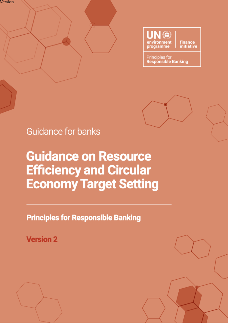 Circular Economy – United Nations Environment – Finance Initiative