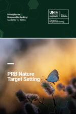PRB Nature Target Setting Guidance