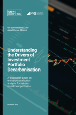 Understanding the Drivers of Investment Portfolio Decarbonisation