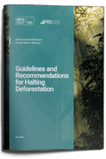 Guidelines and Recommendations for Halting Deforestation