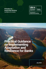 Practical Guidance on Implementing Adaptation and Resilience for Banks