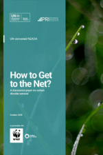 How to Get to the Net? A discussion paper on carbon dioxide removal