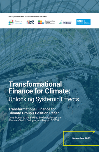 Cover image of Transformational Finance for Climate Position Paper