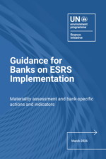 Guidance for Banks on ESRS Implementation