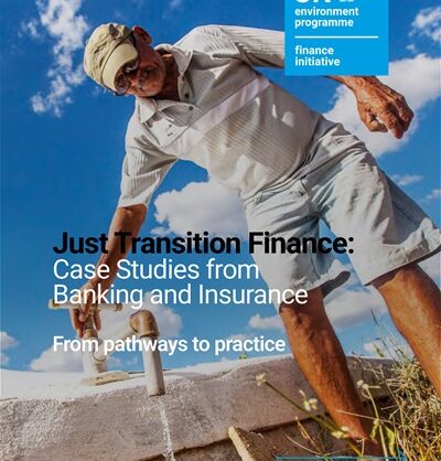 Just transition finance: Case studies from banking and insurance