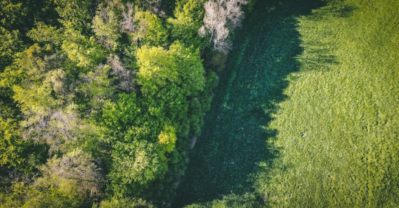 Asking better questions on nature: Strengthening risk oversight in banking