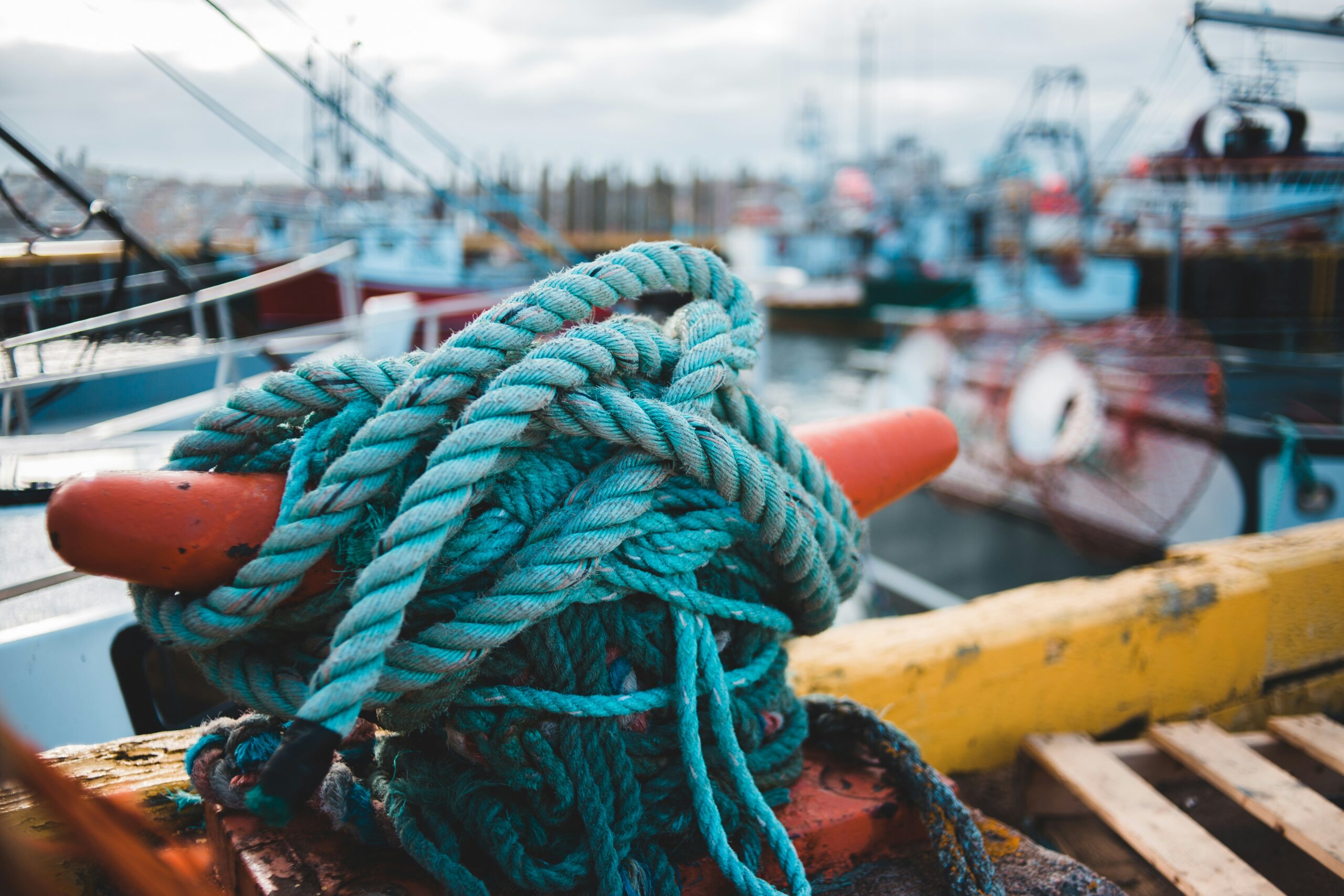 Sustainable Blue Finance
